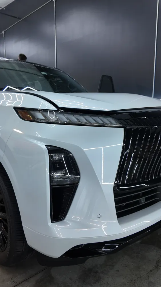 paint protection film